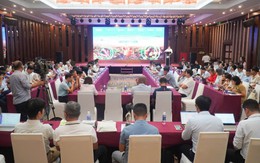 Ứng dụng công nghệ giúp nông dân trồng khoai tây thu 73 triệu/hecta