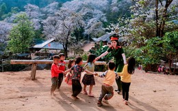 Phát hiện bản làng giữa hơn 1.200 cây cổ thụ ở Việt Nam, đến mùa hoa cả sườn núi phủ trắng như tuyết
