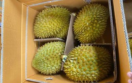Nhờ chồng nhận giúp thùng sầu riêng, tôi không ngờ anh chở thẳng tới nhà nội, đến khi đi làm về, mở ra xem mà tôi ngớ người