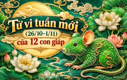 Tử vi tuần mới (26/10-1/11): Top 3 con giáp được Thần Tài rót lộc, công việc hanh thông, tiền bạc dồi dào