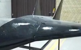 Iran công bố cơ sở sản xuất ngầm UAV Arash