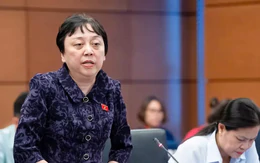 Đại biểu Phạm Khánh Phong Lan: Thận trọng với đề xuất mở rộng đăng ký hiến mô, tạng với người dưới 18 tuổi