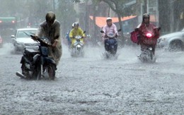 Ngày mai, nhiều khu vực sẽ có mưa to đến rất to