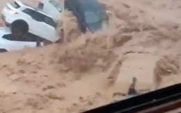 VIDEO: Mưa lũ kinh hoàng cuốn trôi ô tô trên đường phố châu Âu, người dân tuyệt vọng mắc kẹt trên các ban công