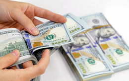 Cho bạn vay 105.000 USD, hơn 10 năm sau ra tòa: Vì sao giao dịch bị tuyên vô hiệu?