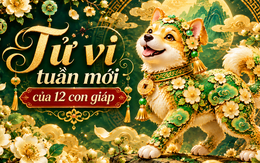 Lời khuyên cho 12 con giáp trong tuần mới (2/11-8/11)