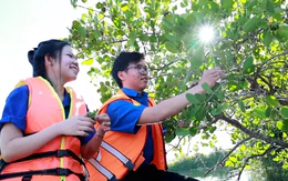 Giữ rừng ngập mặn, bảo vệ 'lá chắn xanh' ở Quảng Ngãi