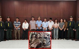 Triệt phá đường dây đưa hơn 10.000 tấn heo nhiễm chất cấm ra thị trường