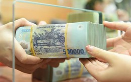 Lãi suất ngân hàng 5/10 tại Agribank, Vietcombank, BIDV, VietinBank, VPBank, MB, Techcombank, Sacombank, HDBank,...