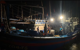 Bắt được "quái ngư" 310 kg ngoài khơi Việt Nam: Kích thước lớn đến mức phải dùng thiết bị chuyên dụng