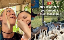 Khách Tây đi massage vịt, cá ở Việt Nam khen 'kỹ thuật viên rất tốt, rất hài'