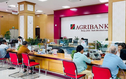 Gửi vào Agribank số tiền 50 triệu, 100 triệu, 200 triệu, 300 triệu đồng thì có lãi bao nhiêu?