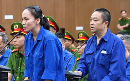 Bản án nào cho vợ chồng cựu Viện trưởng nhận tiền để ‘biến’ tội phạm thành người tâm thần?