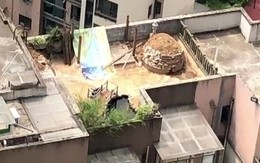 Mua nhà 8 năm mới phát hiện ngay trên trần phòng khách là một ngôi mộ