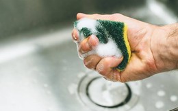 Lời khuyên cho những gia đình đang dùng miếng bọt biển để rửa bát