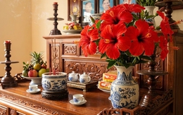 Hoa đẹp nhưng "độc": 3 loại hoa rực rỡ tuyệt đối không dâng lên bàn thờ gia tiên kẻo phạm húy, mất lộc