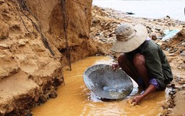 Phát hiện hàng loạt người bỏ công bỏ việc, đổ xô đi đào vàng mong đổi đời sau 1 đêm: Có người từng đào được 72kg