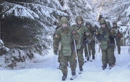 Cuộc phản công bất thành gần Pokrovsk làm thất bại kế hoạch tác chiến của Kyiv