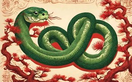 Tử vi tuổi Tỵ năm 2026: Càng vững tâm càng ăn nên làm ra, sự nghiệp thăng tiến