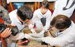 13 năm trước, Sơn Tây khai quật một chiếc quan tài vàng ròng hiếm thấy: Vì sao đến nay không ai dám mở?