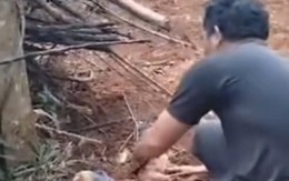 Xác định được người mẹ bỏ rơi con sơ sinh trong rẫy vắng