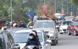 Những lỗi vi phạm giao thông dễ mắc khi đi xe trong dịp Tết và mức phạt