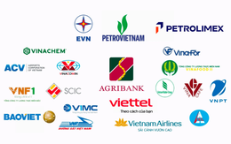 Lộ diện danh sách cổ phần hóa, cơ cấu lại vốn Nhà nước: PVN, EVN, Viettel, Agribank góp mặt