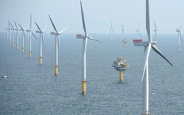 Rà soát 167 dự án năng lượng tái tạo hưởng giá FIT, Bộ Công Thương yêu cầu xử lý vướng mắc