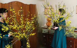 Mùa xuân nằm trọn trong một bình Nghênh Xuân: Sắc vàng rực rỡ, cành rủ mềm mại như suối tóc, chưng Tết vừa sang vừa hút lộc