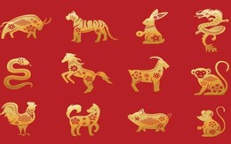 Trong 2 ngày từ 28 đến 29 Tết, 3 con giáp phát tài cực to, trúng số lên hương, tiền chất đầy két