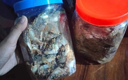 Nghi ngộ độc sau khi ăn cá ủ chua ngày cận Tết