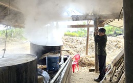 Nghệ An: Làng nấu mật mía xã Nghĩa Hành tất bật ngày giáp Tết