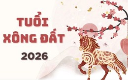 Năm Bính Ngọ 2026 có 5 tuổi "vàng" cực hợp xông đất, mở hàng, khai trương đem lại may mắn, tiền bạc cả năm cho gia chủ