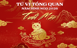 Tử vi tổng quan tuổi Mão năm Bính Ngọ 2026: Quý nhân trợ giúp, sự nghiệp thăng tiến song cần chú ý 1 điểm