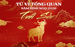 Tử vi tổng quan tuổi Sửu năm Bính Ngọ 2026: Một năm may mắn thuận lợi, tài sản không ngừng gia tăng