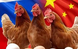 Chứng kiến hiện tượng chưa từng có với Trung Quốc, Nga đưa ra cảnh báo