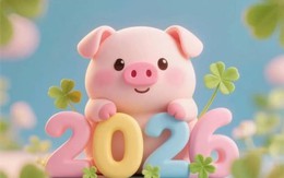 Tử vi tuổi Hợi 2026: Hợi lao tâm khổ tứ do hạn tam tai, hung cát đan xen