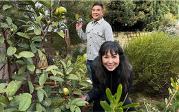 Nữ NSND tuổi ngựa cưới tài tử điện ảnh lừng lẫy, sở hữu biệt thự hoành tráng giữa trung tâm TP. Hồ Chí Minh