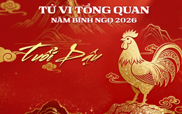 Tử vi tổng quan tuổi Dậu năm Bính Ngọ 2026: Sự nghiêp thăng hoa, tình duyên viên mãn