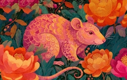 Tử vi chi tiết tuổi Tý năm Bính Ngọ 2026