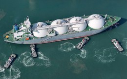 Sau một năm, nền kinh tế hơn 20 nghìn tỷ USD vẫn chưa nối lại nhập khẩu mặt hàng chủ chốt của Mỹ, 2 'ông trùm' khác nhảy vào chiếm phần