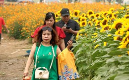 Dự báo thời tiết ngày 2/2: Bắc Bộ có nơi rét đậm, Nam Bộ nắng 33°C