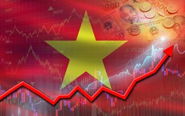 Xu thế đảo chiều: Tỷ lệ 'báo động' với Ấn Độ, Trung Quốc - Việt Nam nổi lên như trung tâm cung ứng của Mỹ