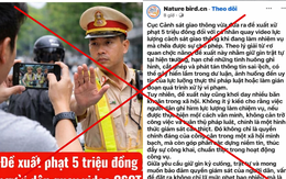Từ tin phạt 5 triệu với người quay clip CSGT làm nhiệm vụ: Khi nào được ghi âm, quay video?
