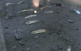 Hé lộ dấu tích người tiền sử ở hang động Việt Nam qua các bộ hài cốt 7.500 tuổi