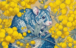 Tử vi tuần mới (23/2 - 1/3): Hết Tết nhưng lộc chưa hết, 3 con giáp này được Thần Tài "chỉ mặt gọi tên" ngay tuần đầu đi làm lại