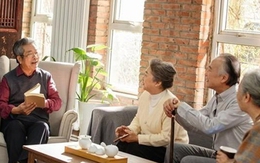 Thông gia giàu có đến chúc Tết nói thẳng 1 câu khiến tôi hiểu ra cuộc sống của con gái ở nhà chồng