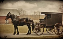 Sự thật về thiết kế ô tô: Những di sản từ thời xe ngựa