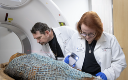 Công nghệ quét CT hé lộ điều bất ngờ về xác ướp Ai Cập nghìn năm tuổi