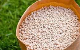 Rắc thứ này ra vườn trước tháng 3, cỏ dại khó nảy mầm, cây cối xanh tươi bất ngờ